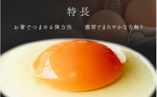 【6ヶ月連続お届け】 福井ブランド 「福地鶏」 の卵 50個 濃厚で甘くておいしい！ （25個入×2段） 定期便 ／ 卵 たまご 鶏卵 生卵 有精卵 高級 高級卵 福地鶏 鶏 平飼い 美味しい こだわ