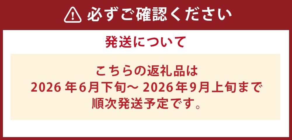 【訳あり】岡山白桃（家庭用）1.2kg以上  サイズ不揃い