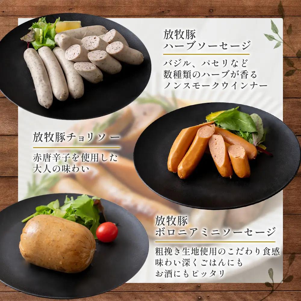 【定期便：4回】【ご自宅用】北海道産放牧豚 無添加ウインナーセット ×2セット【12003301】
