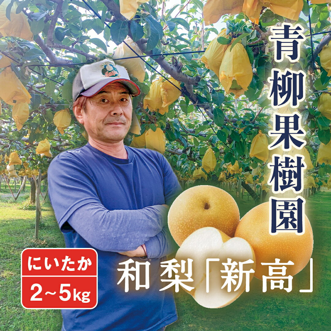 【ふるさと納税】【2025年先行予約】和梨 新高 選べる「2kg」or「3kg」or「5kg」新潟県産 [青柳果樹園] 《10月上旬〜順次出荷》[0459]