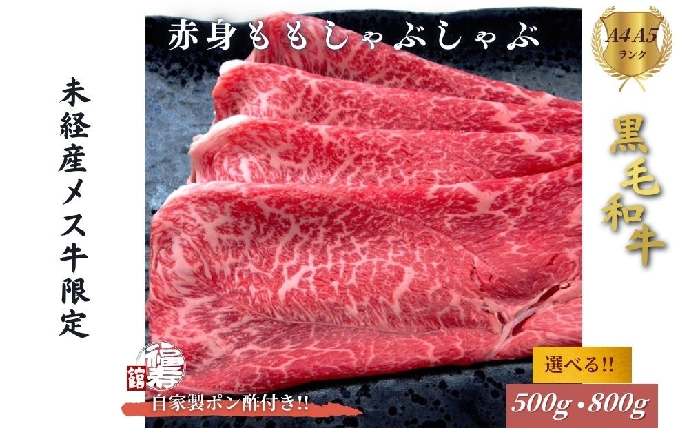 
                  ＜選べる容量＞ 黒毛和牛めす牛 赤身モモ しゃぶしゃぶ肉 500g・800g 自家製ポン酢付き ／しゃぶしゃぶ ふるさと納税 黒毛和牛 肉 牛肉 お中元 お歳暮 正月 ギフト 和牛 食べ物 奈良県 宇陀市 福寿館
                