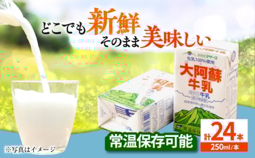 大阿蘇牛乳 250ml（24本入り）牛乳 ミルク カルシウム 熊本県産 国産【合同会社 たべたせいか】 [AYCB028]