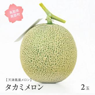 天津鳳凰メロン（タカミ・2玉）2025年7月出荷予定＜数量限定＞
