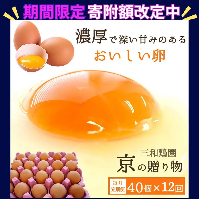 【定期便12か月】 卵 赤たまご 480個 ： 40個×12回 【配送不可地域：北海道、沖縄、離島】