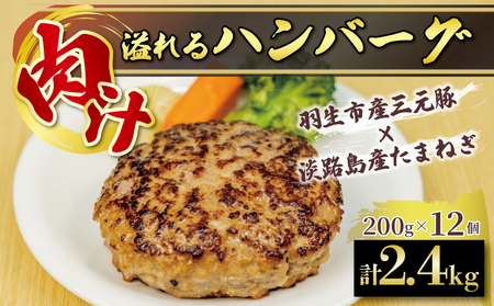 ハンバーグ 三元豚 使用 2.4kg 200g 12個入 化学調味料 不使用 ﾊﾝﾊﾞｰｸﾞ保存料 無添加 ﾊﾝﾊﾞｰｸﾞ 埼玉県 羽生市 ﾊﾝﾊﾞｰｸﾞ ポーク 豚 牛 肉 合挽き ﾊﾝﾊﾞｰｸﾞ 