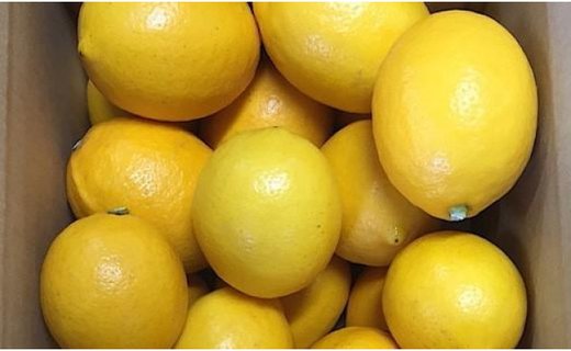 ［産地直送］和歌山県産 レモン 3kg サイズ混合 ［US45］