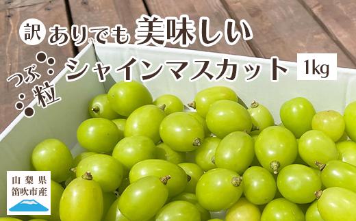 ＜25年発送先行予約＞【訳あり】 シャインマスカット 粒 1kg以上 154-033 | 不揃い ご自宅用 ご家庭用 フルーツ 果物 高評価 人気 ランキング おすすめ 甘い 美味しい デザート 数量限定 送料無料 山梨県産 笛吹市 ぶどう 「販売」 KEIPE株式会社