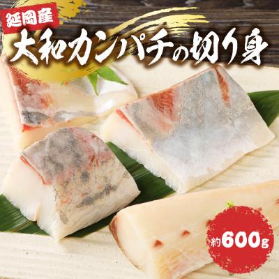 ふるさと納税 延岡市 大和カンパチの切り身 約600g