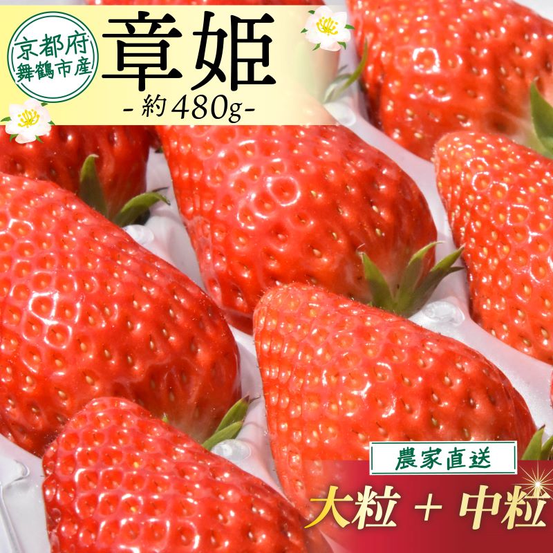 【ふるさと納税】 【先行予約】【2026年1月発送】 いちご 章姫 480g前後 (大粒+中粒) いちご 苺 イチゴ 果物 フルーツ 箱入り 完熟 真っ赤 おいしい 甘い 評判 農家直送 産地直送 鮮度 抜群 好評 人気 ハウス栽培 あきひめ 舞鶴 京都 嵯峨根農園