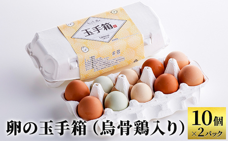 卵 卵の玉手箱 10個×2パック 名古屋コーチン 卵