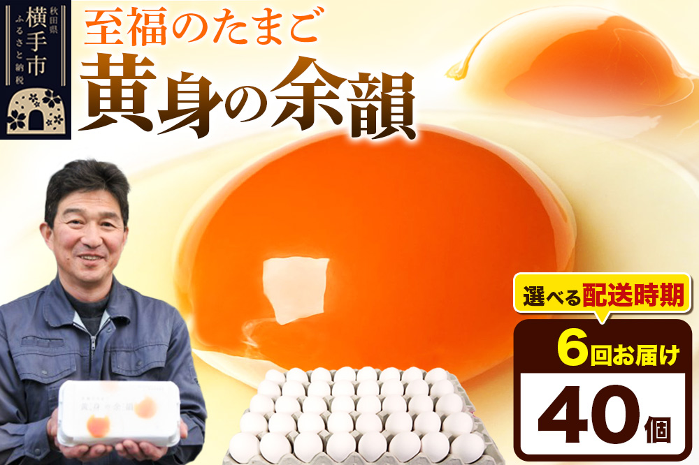 【常温発送】《定期便6ヶ月》黄身の余韻 40個（業務用）【発送時期が選べる】東海林養鶏場 黄身の余韻 卵 玉子 たまご タマゴ 6か月 6ヵ月 6カ月 6ケ月 開始時期選べる