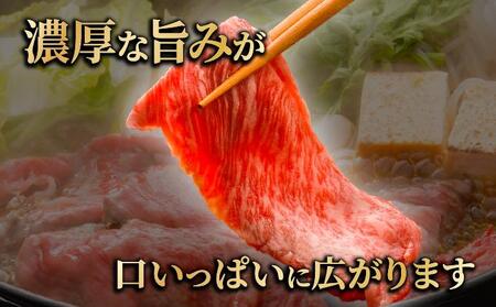 博多和牛モモスライス500g