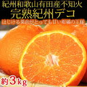 【ふるさと納税】完熟紀州デコ(不知火) 約3kg　果肉プリプリ♪【2025年2月下旬以降発送】【先行予約】【UT42】 | 和歌山県 印南町 和歌山 返礼品 支援 楽天ふるさと 納税 お取り寄せグルメ 取り寄せ グルメ 不知火 フルーツ 果物 くだもの 柑橘