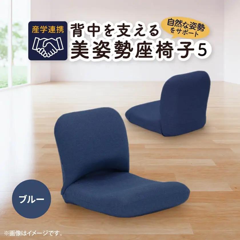 産学連携　背中を支える美姿勢座椅子5　ブルー