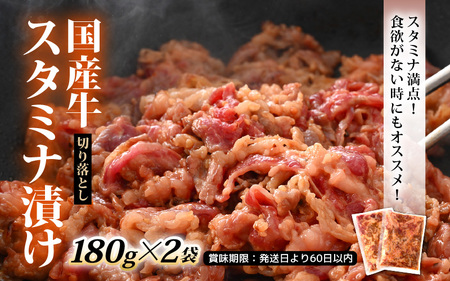 国産 お楽しみ 焼肉セット 合計1.4kg以上【牛肉ロース 味付け肉 牛ホルモン 豚肉 鶏肉 小分け 便利 BBQセット】 [e03-b004]