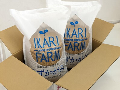 【新米】【7年産】 みずかがみ 玄米 10kg ( 5kg × 2袋 ) 冷めても美味しい あっさりとした味わい 【C018U1】近江米 みずかがみ