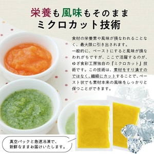 冷凍さつまいもペースト1.5kg(500g×3袋) 山形県遊佐産 冷凍便 ※離島発送不可 冷凍 さつまいも さつま芋 サツマイモ 野菜 野菜ペースト 離乳食 介護食 お菓子作り 小分け ゆざ食彩工房 