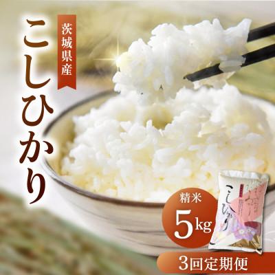 ふるさと納税 かすみがうら市 【毎月定期便】茨城県産コシヒカリ 精米 5kg |  こしひかり 茨城県かすみがうら市全3回