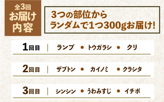 ＜3回定期便＞佐賀牛希少部位～ひとり贅沢焼肉コース～ ランプ/クリ/トウガラシ/ザブトン/カイノミなど【ミートフーズ華松】 [FAY071]