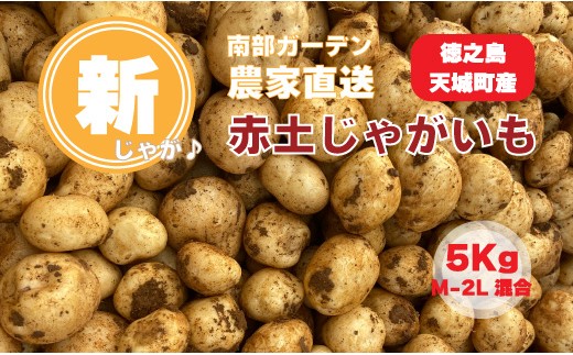 【農家直送】 徳之島 天城町産 赤土じゃがいも 5kg （ M～2L サイズ混合 ） 南部ガーデン 赤土バレイショ ジャガイモ じゃがいも バレイショ ばれいしょ 鹿児島県 天城町 CB-5