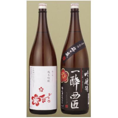 ふるさと納税 佐世保市 【毎月定期便】フルーティーな純米吟醸・吟醸酒　一升瓶プチ贅沢セット【梅ヶ枝酒造】全3回