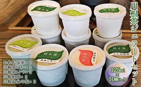 アイス 川根茶 ジェラート 10個入 5種×2 詰め合わせ アイス