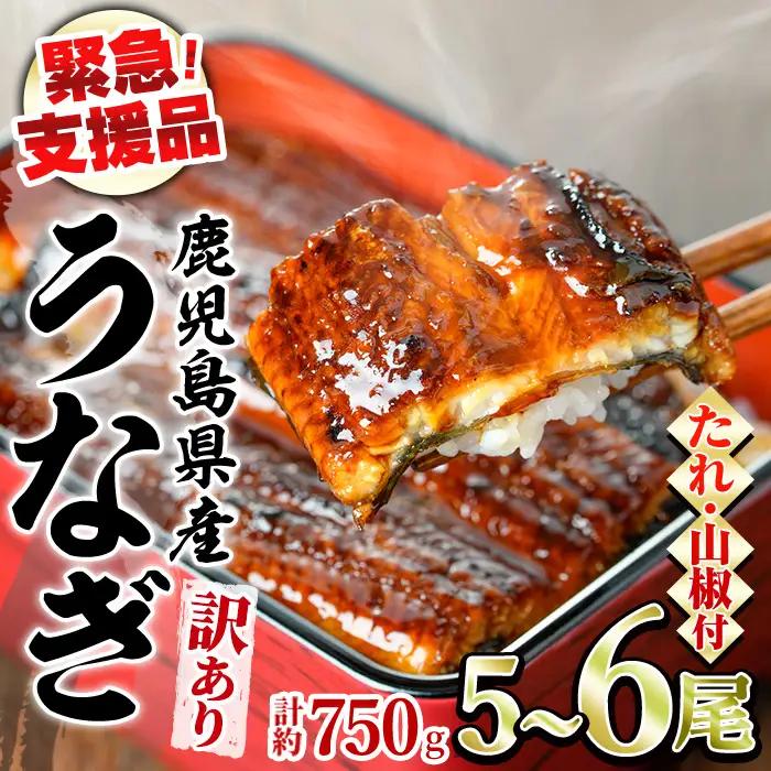 【0184359a】【緊急支援品】＜訳あり＞鰻の蒲焼き(無頭)(5～6尾・計約750g・タレ、山椒付) うなぎ ウナギ 鰻 国産 蒲焼 蒲焼き たれ 鹿児島 ふるさと 人気 支援 【アクアおおすみ】
