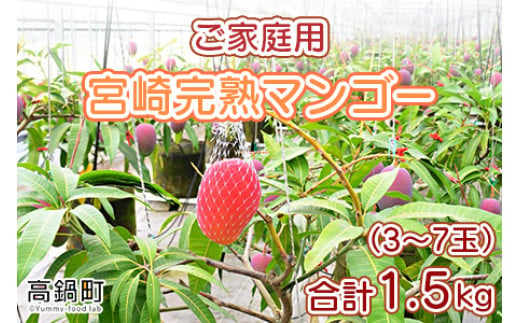 ＜宮崎県産完熟マンゴー 1.5kg ご家庭用（3～7玉）＞ ※2024年6月上旬～9月上旬迄に順次出荷