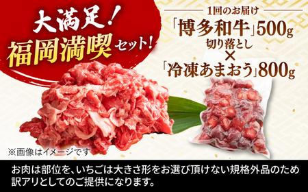 【全3回定期便】【訳あり】博多和牛 切り落とし ＆ あまおう セット1.3kg   桂川町/株式会社 MEAT PLUS[ADAQ069]