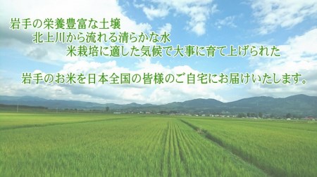 奥州市産ひとめぼれ 無洗米 令和5年産 10kg(5kg×2)【第三ライスセンター】 [BC001]