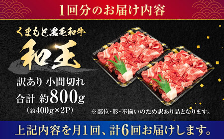 【全6回定期便】【訳あり】熊本県産 A5等級 和王 赤身肉 小間切れ 約400g×2P 計約4.8kg【帝神志方ミート 株式会社】[AYCH088]