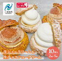 【ふるさと納税】 生シュークリームと生チョコシュークリーム10個入り シュークリーム スイーツ 菓子 洋菓子 冷凍 小分け 贅沢 生クリーム チョコ 食べ比べ おすすめ お中元 お歳暮 ギフト 二本松市 ふくしま 福島県 送料無料 【ル・エムズ】