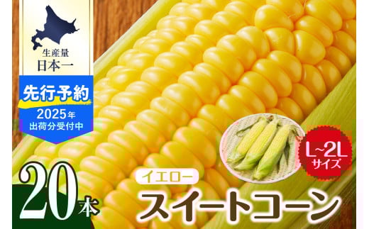 【先行予約】【2025年産】北海道十勝芽室町 とうもろこし スイートコーン20本 イエロー種 me002-014c-25