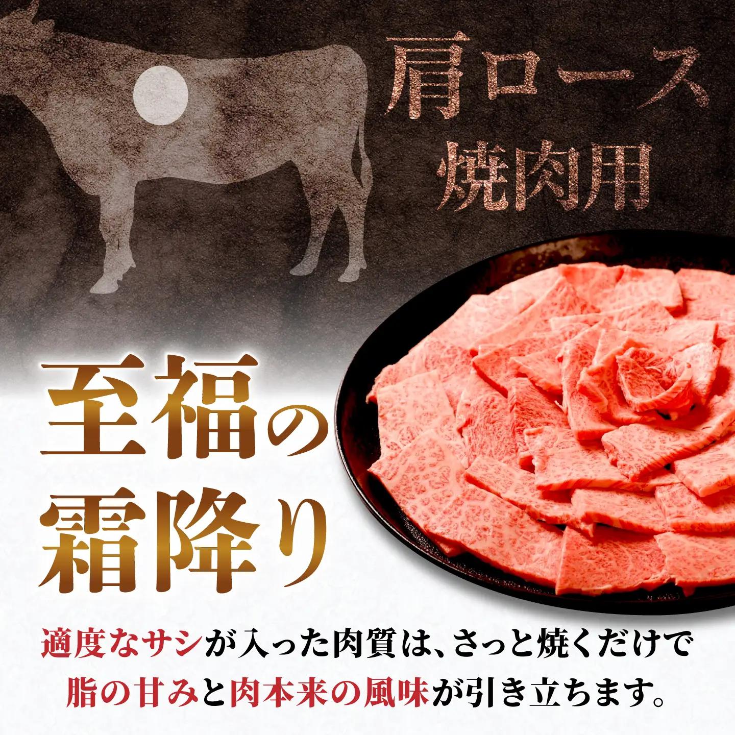 【3回定期便】飛騨牛 肩ロース(焼肉用)1.2kg / 飛騨牛 国産 肩ロース ロース 焼肉 焼き肉 黒毛和牛 和牛 牛肉 BBQ 岐阜県 / 御嵩町 / 馬力家[AVBO111]