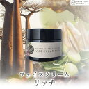 【ふるさと納税】【Nature Plants Skin Care】フェイスクリーム リッチ 50ml | 天然素材 手作り スキンケア 美容 美 守本理恵 化粧水 天然 月桃 自然 メイクアップアーティスト メイク モデル 無添加 自然派 クリーム 美白 沖縄 海 オイル オーガニック オーガニックオイル