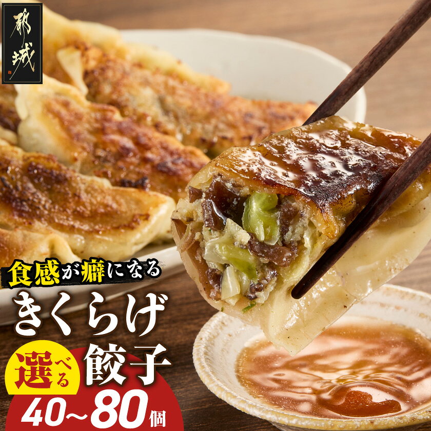 【ふるさと納税】【個数が選べる！】食感が癖になる！きくらげ餃子 - ギョウザ 40個/60個/80個 キクラゲ 都城産豚肉 キャベツ ニラ ニンニクを使用 きくらげ餃子 ヘルシーぎょうざ 加工品 たっぷり 送料無料 SKU-8704 【宮崎県都城市】