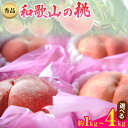 【ふるさと納税】和歌山県紀の川市産桃（もも）選べる 約1kg～4kg 秀品 前商店《6月中旬-8月上旬頃出荷》産地直送 もも モモ 果物 フルーツ