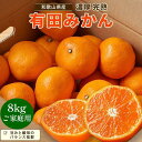 【ふるさと納税】【先行予約】有田育ちのご家庭用 完熟有田みかん8kg【2024年11月上旬より発送】【訳あり】 | フルーツ 果物 くだもの 食品 人気 おすすめ 送料無料