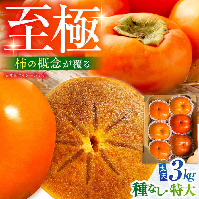 【ふるさと納税】【11月〜12月上旬発送】種なし柿 太天・渋抜き柿 3kg【小林農園】[HAX002] / 食品 フルーツ・果物 柿 フルーツ 果物 送料無料 佐賀県 江北町 19000 19000円