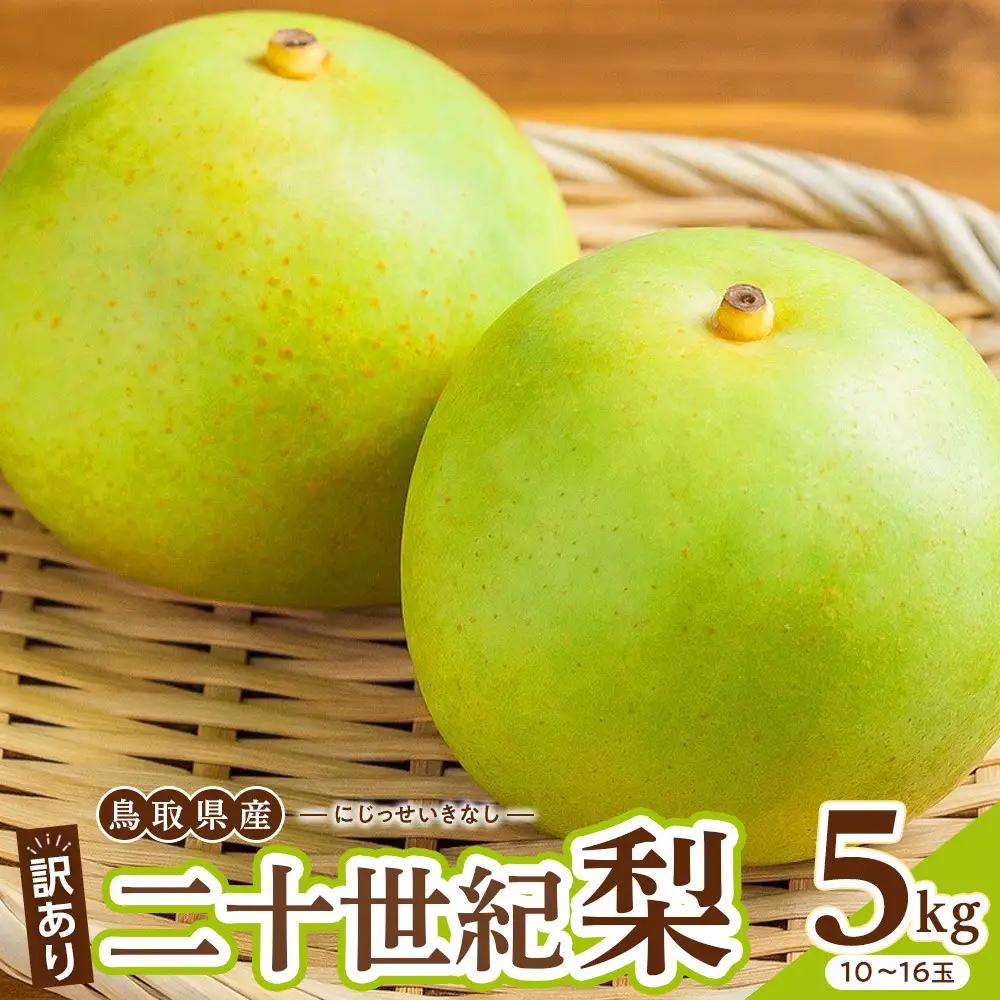 【先行予約】訳あり 二十世紀梨 5kg 梨