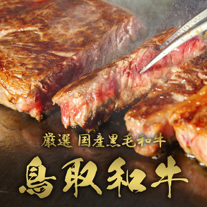 【和牛セレブ】鳥取和牛 定期便 「ダイアモンドクラス」（定期便12回）