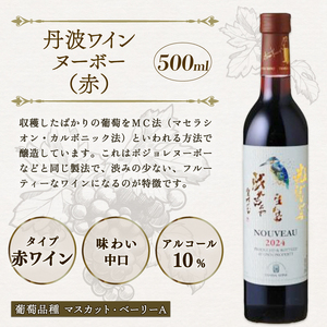 【先行予約】 丹波ワインヌーボー 飲み比べセット 4本 にごり NIGORI 国産ワイン ヌーボー ワイン 飲み比べ ワイン飲み比べ ワインセット 国内醸造 日本ワイン 赤ワイン 白ワイン 赤白 甘口