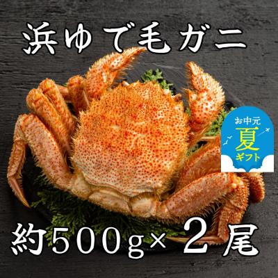 ふるさと納税 紋別市 【お中元】流氷明け浜ゆで毛ガニ約500g×2尾