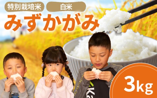 みずかがみ 白米 3kg 2025年産 竜の舞 特別栽培米 国産 安心 安全 近江米 米 お米 白米 お弁当 玄米 産地直送 滋賀県 竜王町 送料無料