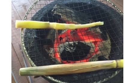 【 先行予約 】 種子島 産 ニガダケ (根本部分と先部分) 計2kg　NFN498【250pt】  