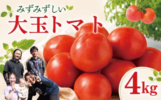 
                  トマト 4kg 大玉トマト とまと tomato 春発送 数量限定 野菜 やさい 果物 甘い リコピン フルーツ サラダ スープ 酸味 農家直送 産地直送 新鮮 トマト フレッシュ 春野菜 夏野菜 湘南Farmかずみ園 神奈川 湘南 藤沢 
                