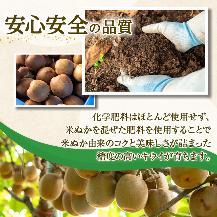 ＜先行予約受付中！2026年10月以降順次発送予定＞【訳あり】茨城県産 黄色いキウイ 4.5kg 訳あり 訳アリ キウイ キウイフルーツ 果物 フルーツ 青果物 【こばしファーム】【ho1550】