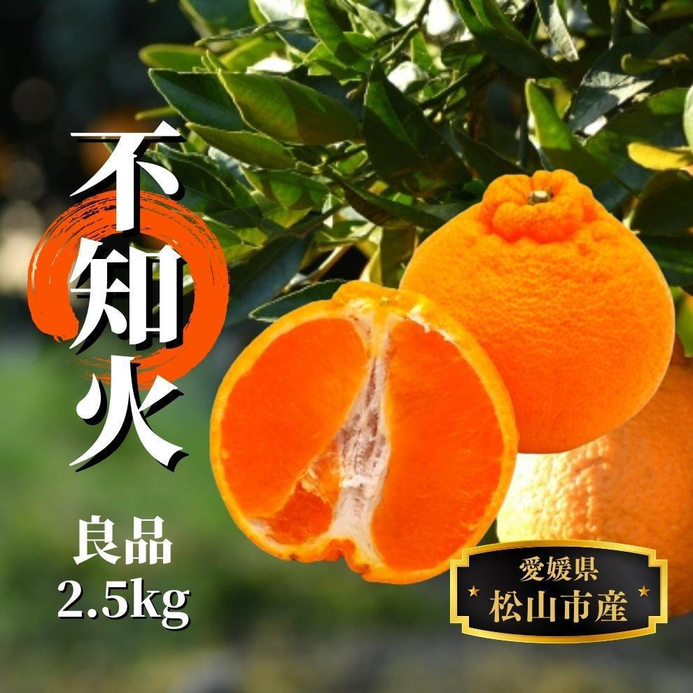 【ふるさと納税】不知火 良品 約2.5kg ＜2026年2月末から4月頭頃発送＞ | 愛媛 みかん 先行予約 蜜柑 柑橘 果物 くだもの フルーツ お取り寄せ グルメ 期間限定 数量限定 人気 おすすめ 愛媛県 松山市