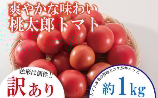 【訳あり】 【1月発送】 トマト 約1kg 桃太郎 先行予約  甘い 野菜 やさい 国産 産地直送 数量限定 旬 桃太郎トマト 生野菜 新鮮 ソース 調味料 ケチャップ サラダ 美容 新鮮 健康 お取り寄せ グルメ おすすめ 人気 徳島県 小松島市