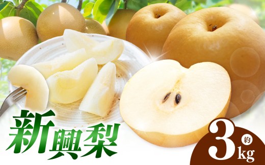 西江豊水園の新興梨 約3kg ( 7個前後 ) | フルーツ 果物 くだもの 果実 数量限定 旬 完熟梨 梨 なし ナシ 新興 新興梨 和梨 3kg 3キロ 新鮮 産地直送 大分県産 九州産 国産 大分県 中津市